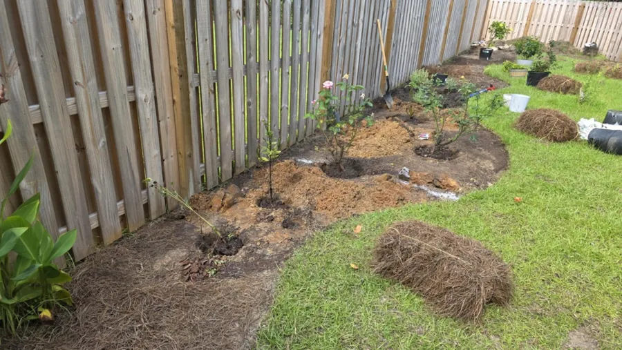 New plantings and pine straw bed along a fence in Bluffton, SC